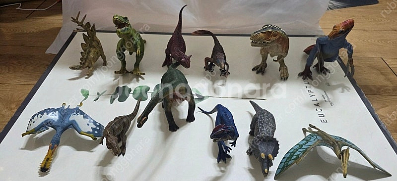 슐라이히공룡외 일괄--0