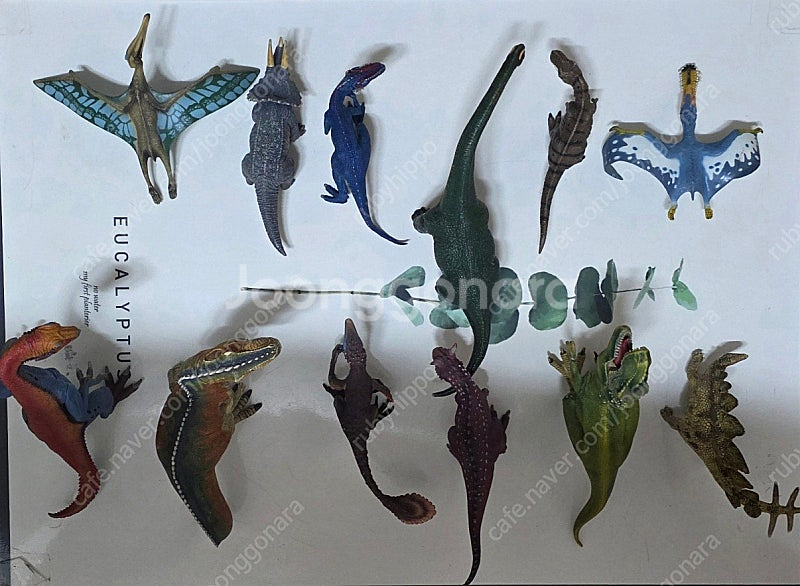 슐라이히공룡외 일괄--1