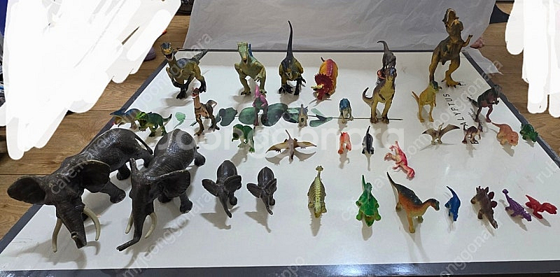 슐라이히공룡외 일괄--4