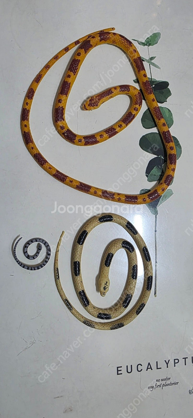 슐라이히공룡외 일괄--5