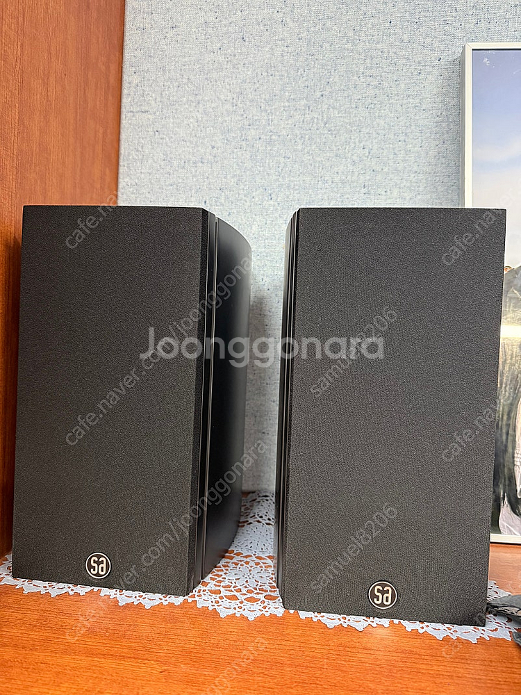 시스템오디오 레전드5.2 실버백--0