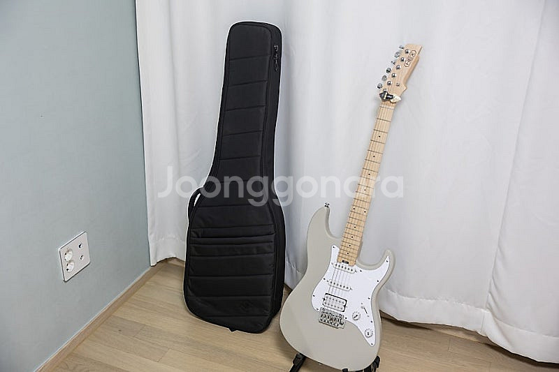 일렉기타 헥스 e100plus psg(파스텔 그레이) ...--0