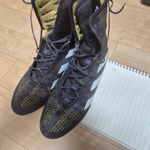 아디다스 복서호그2 (size:255) 판매합니다
