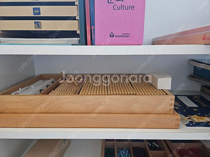 빅 몬테소리--4