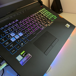 asus 에이수스 아수스 g731gu ev002(한정판
