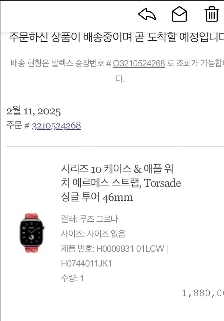 애플워치10에르메스 Torsade 싱글 46mm--2