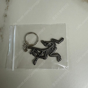 아크테릭스 키링