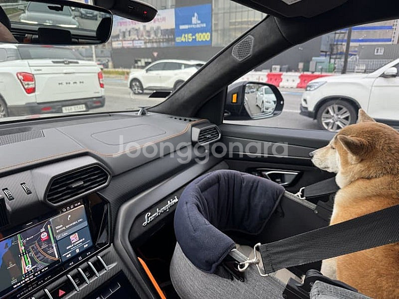 스톤에이지 가이드북 삽니다--0
