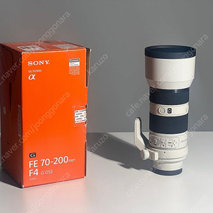 소니 70-200 g f4 애기유령