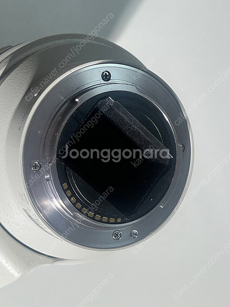 소니 70-200 g f4 애기유령--3
