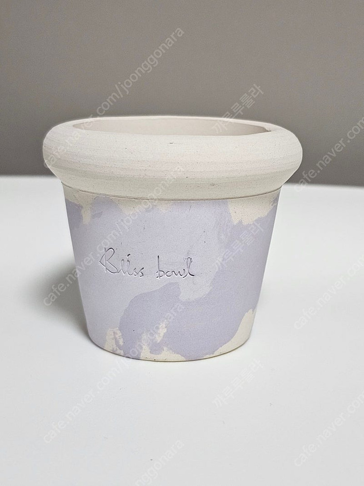 시조바시스 인트리카타 / 블리스볼 콩분 애기별꽃--7