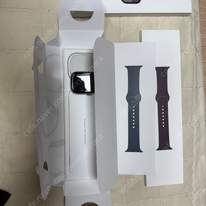 애플워치10 46mm 내추럴 티타늄 풀박