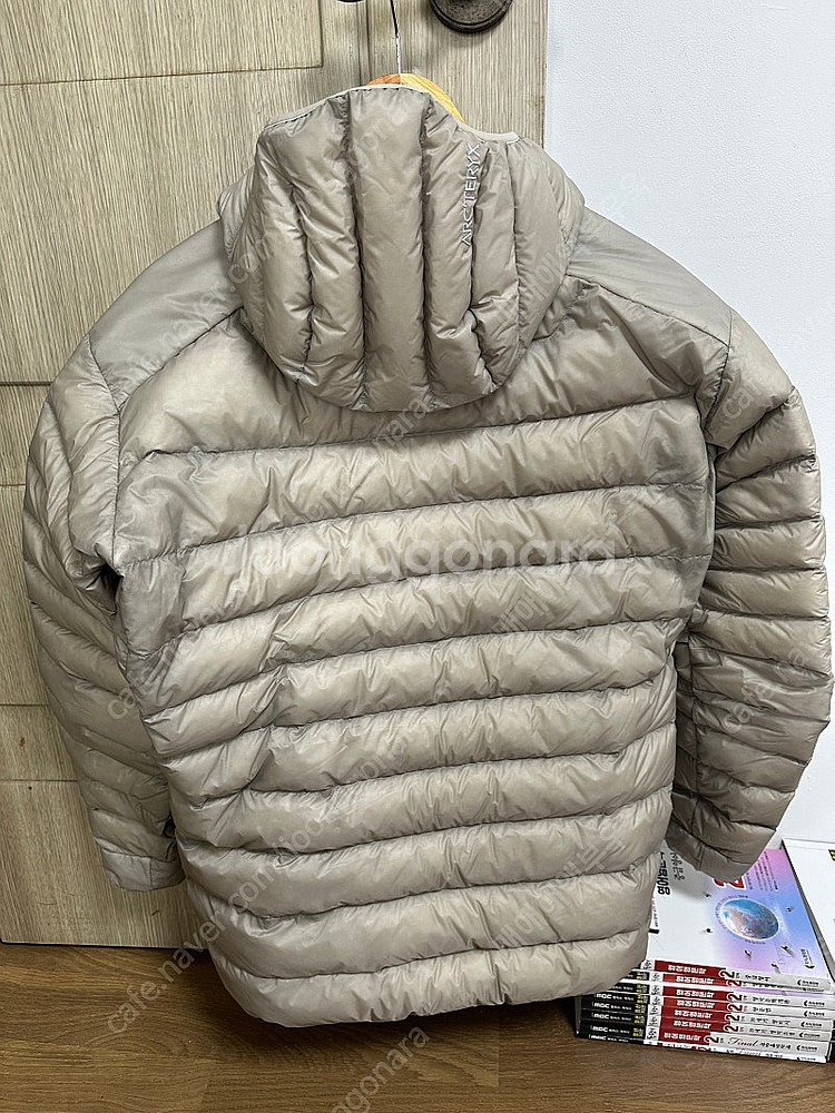 아크테릭스 세륨 후디 룬 L--1