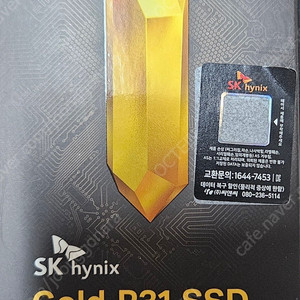 SK 하이닉스 P31 500gb