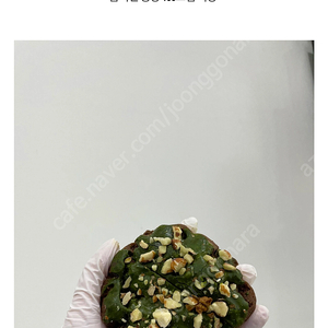 에이밍마켓 215차시 박스2 일부 판매