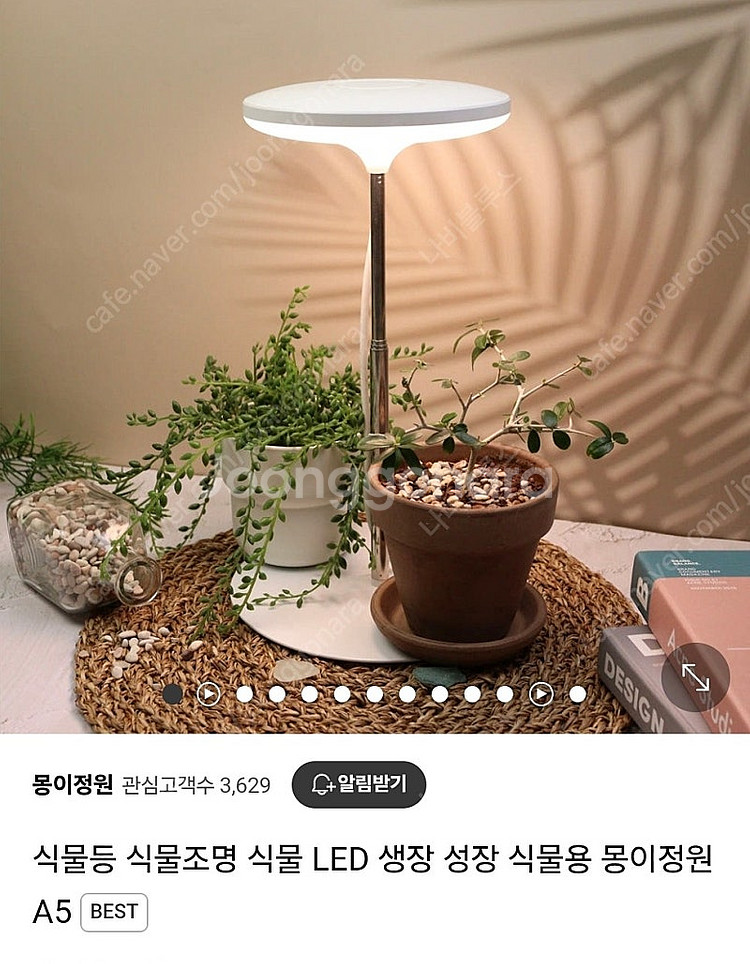 몽이정원 식물등 A5--0