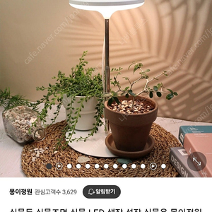 몽이정원 식물등 A5