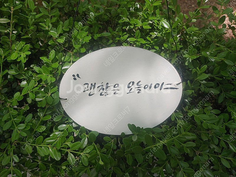 빨강머리앤 1구 걸이--1