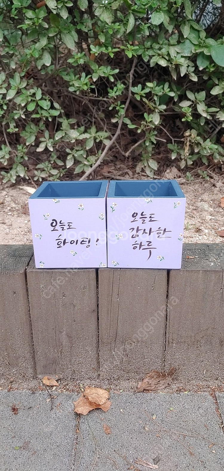 빨강머리앤 1구 걸이--4