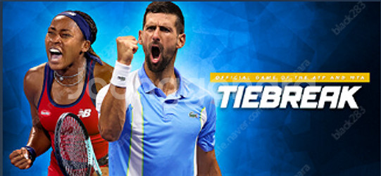 TIEBREAK: Official game of the ATP and WTA & Ad Infinitum 스팀 코드 ...--0