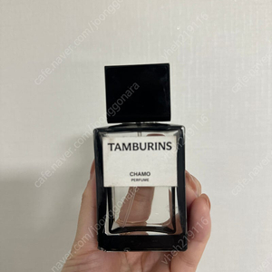 탬버린즈 카모 향수 50ml