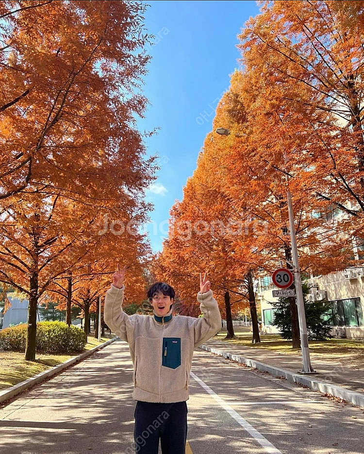 최우식착용) 파타고니아 레트로x자켓 후리스 펠리컨그린 ...--4
