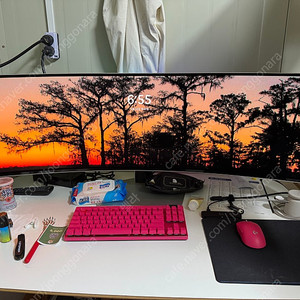 삼성 오디세이 oled g9 s49cg934 (49인치) 팝니다