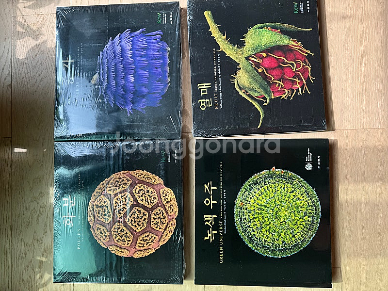 교학사 식물 사진집 종자 화분 녹색우주 열매 권당 5만원 4권 세트--0
