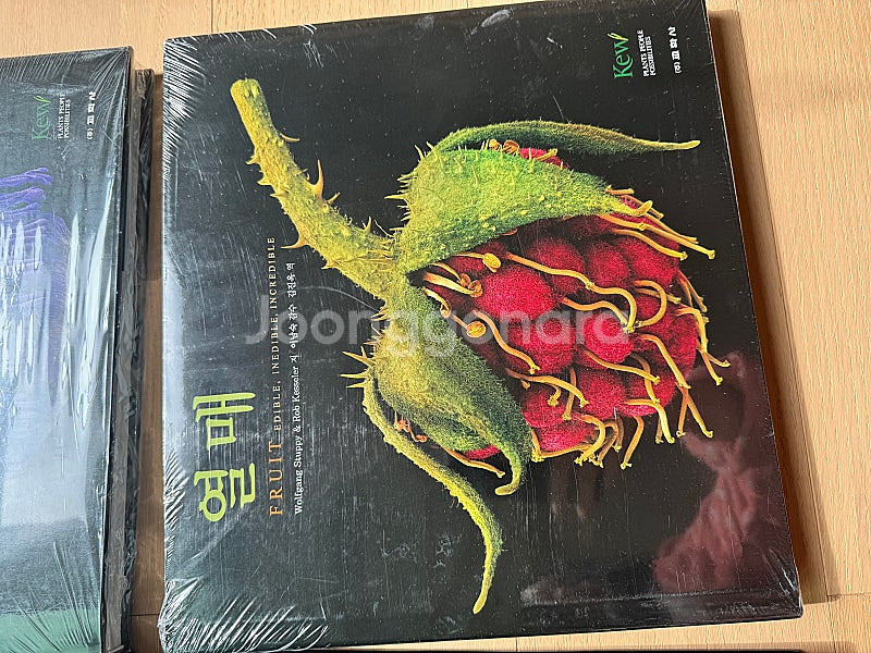 교학사 식물 사진집 종자 화분 녹색우주 열매 권당 5만원 4권 세트--2