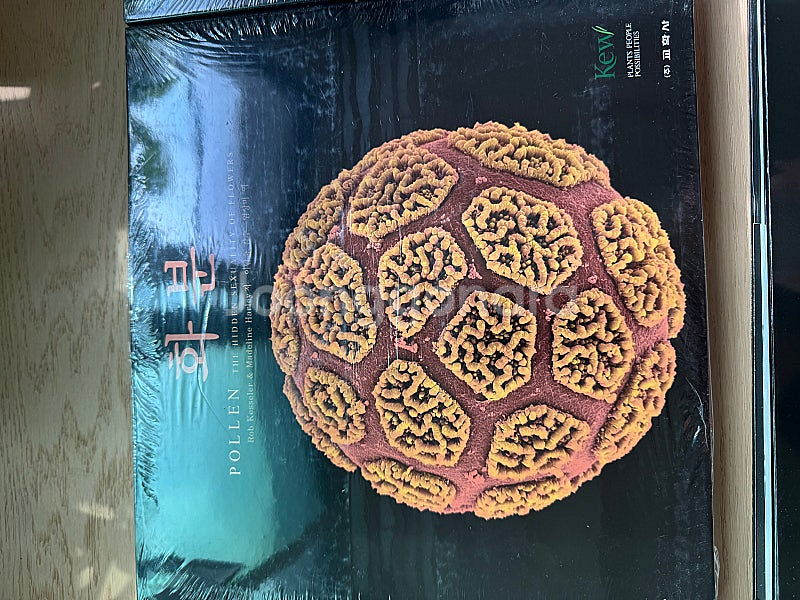 교학사 식물 사진집 종자 화분 녹색우주 열매 권당 5만원 4권 세트--4