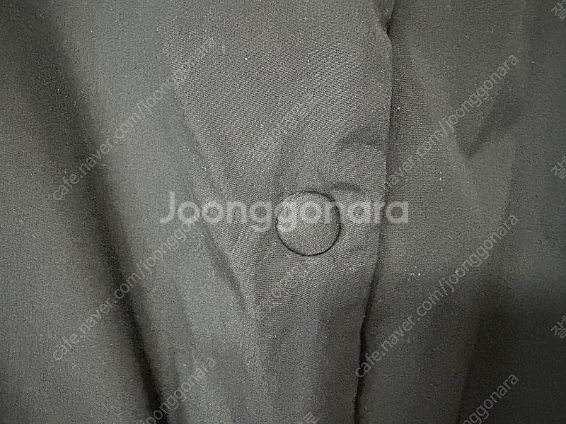 케네스콜 구스~--3