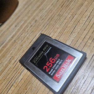 샌디스크 Cfexpress Type B Extreme pro 256GB