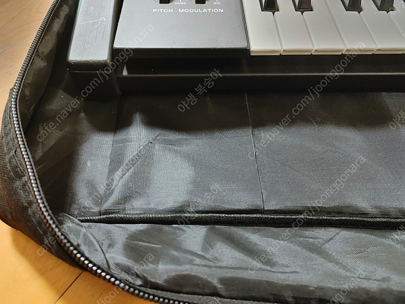 케트론 솔톤 ms60