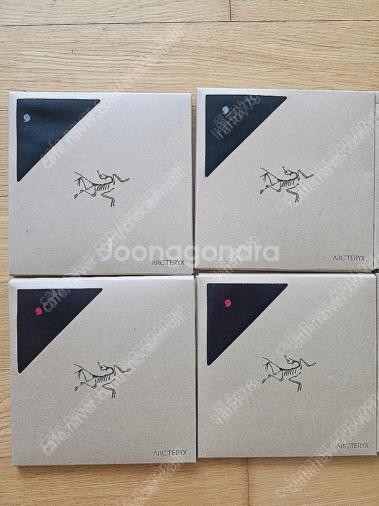 아크테릭스 손수건--0