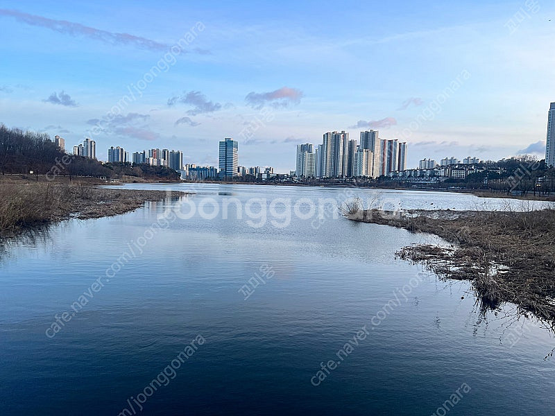 Cgv영화예매해드려요.--0