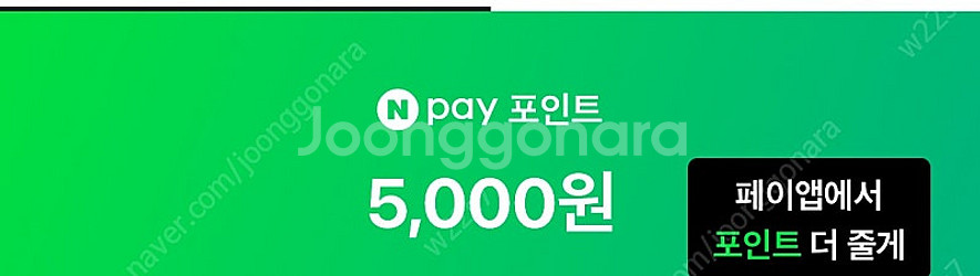 네이버페이 5000원 5000원에 팝니다.--0
