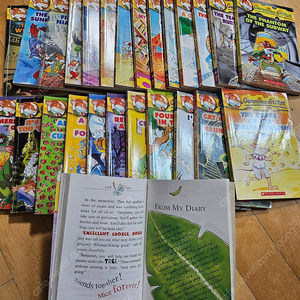 Geronimo Stilton /Franny K. Stein /The Tiara Club /Flat Stanley /A to Z Mysteries /GooseBumps horro