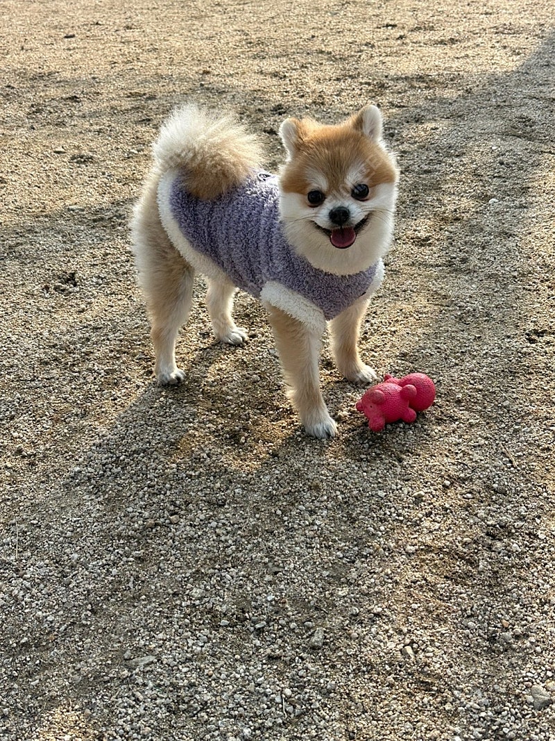 모바일 TFT 코인 판매합니다