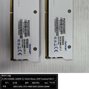 패트리어트(PATRIOT) DDR5-5600 CL46 시그니처 (32기가) 2개