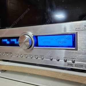 캐리오디오 인티앰프 Cary Audio SI-300.2d
