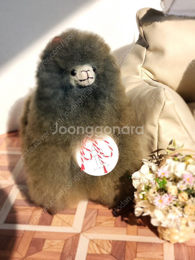 아르떼 알파카 인형--0