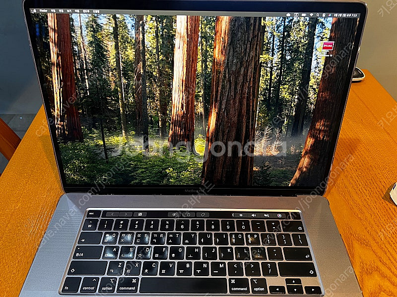 2019 인텔 16인치 맥북(i9, 1tb) 판매--0