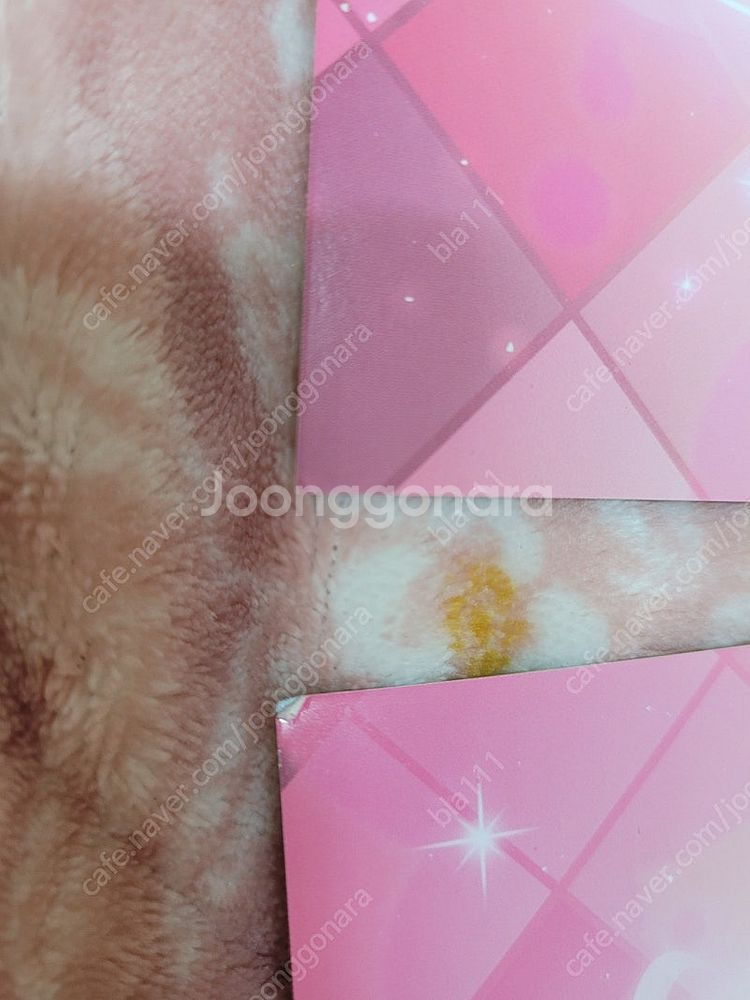 일괄) 로오히 4주년 콜라보 카페 특전 엽서 로드오브히...--9