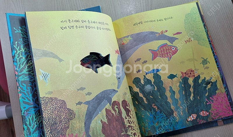 키즈엠 브리타테큰트럽 사계절,달,바다,꿀벌 4권--4