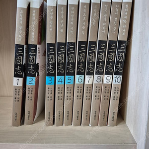 황석영 삼국지