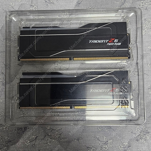 지스킬 DDR5-6000 CL32 TRIDENT Z5 NEO RGB J (64GB(32Gx2))
