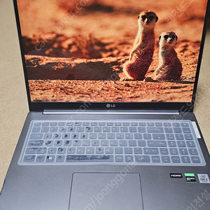 노트북 LG 울트라 기어 17U70N-PA50K 17