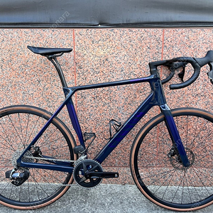 캐니언 엔듀레이스 CF SLX (L) canyon endurace cf slx