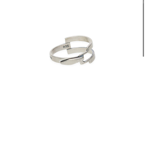 아더에러 Ring Product 114