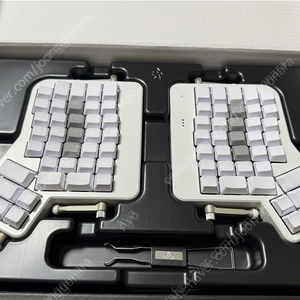 Ergodox ez 어고독스 에고독스 인체공학형 키보드 (저적축)